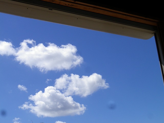 IMGP3705_1.jpg IMGP3705_1.jpg